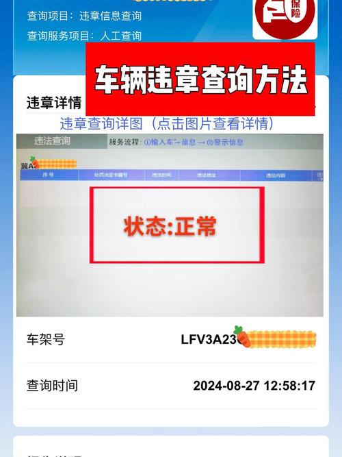 河北公安交管网车辆违章查询,河北公安网交管网