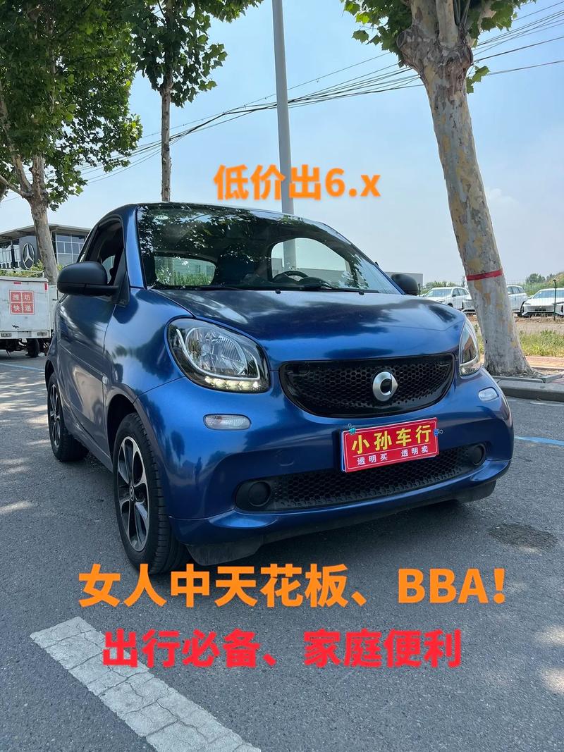 smart汽车两座报价(smart双座价格)