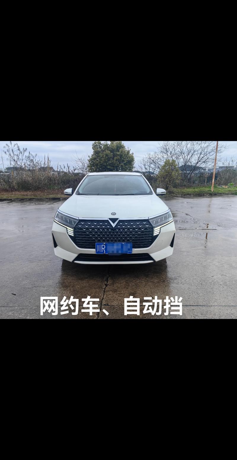 启辰d60ev网约车版,启辰d60ev网约车版参数