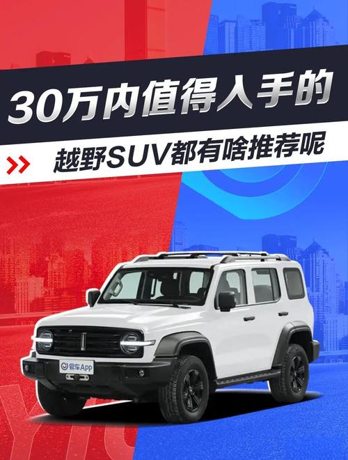30万左右公认最好的suv/30万左右的suv排行榜前十