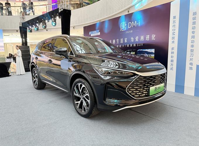 买唐dmi十大忠告/2025油电混动第一名