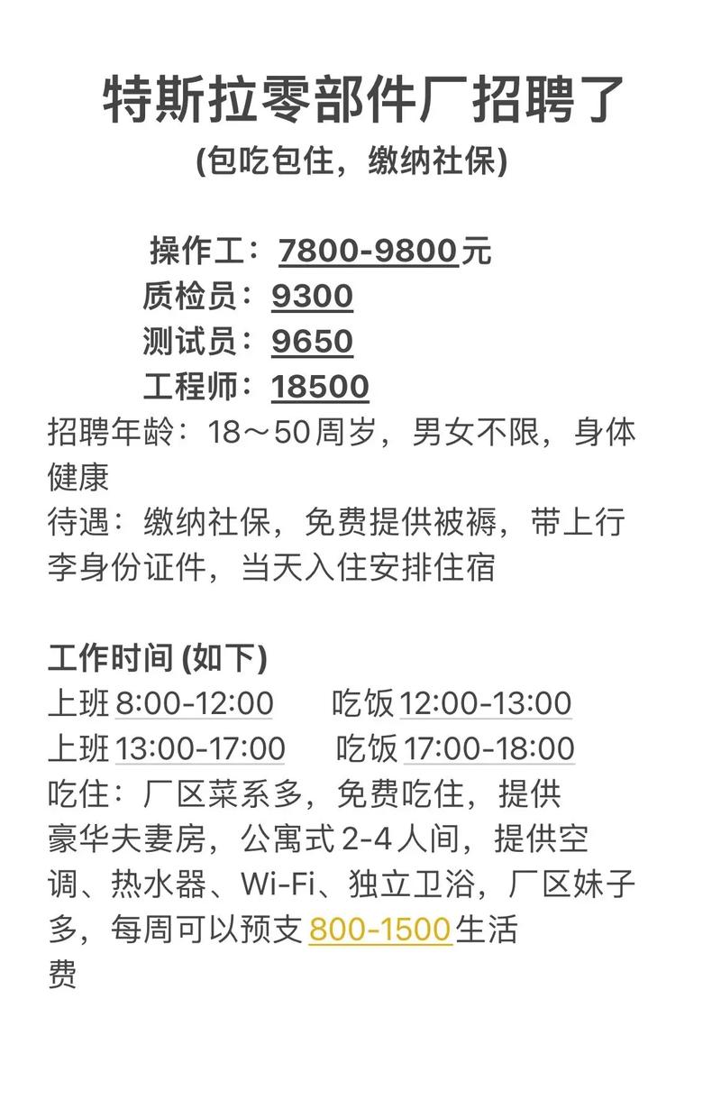 特斯拉官网招聘入口(特斯拉招聘2025最新招聘)